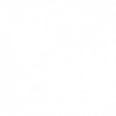 SSPACE Logo - White